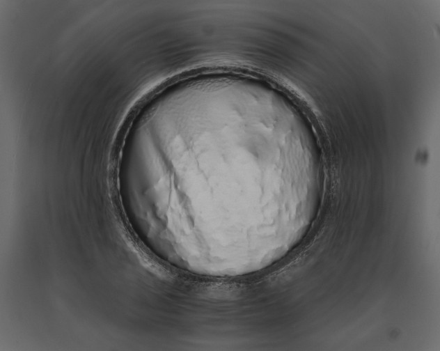 X0000091101029200708271312