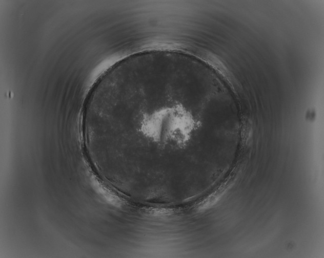 X0000091101030200708271312