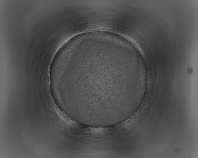 X0000091101031200708271312