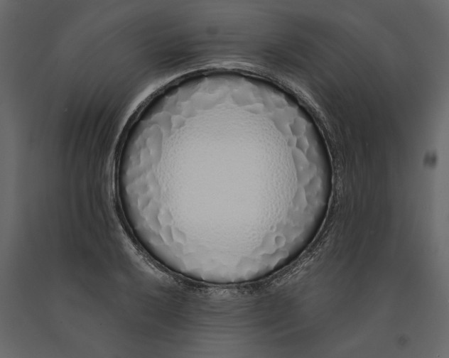 X0000091101032200708271312