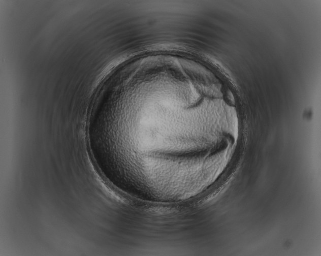 X0000091101033200708271312