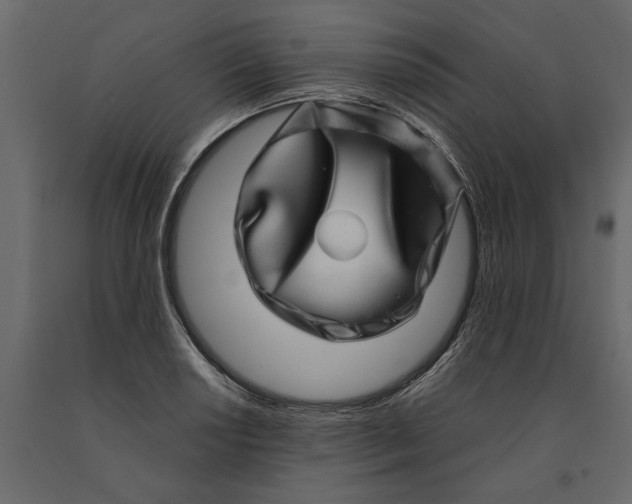 X0000091101034200708271312