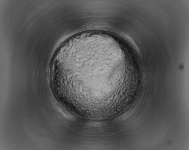 X0000091101035200708271312