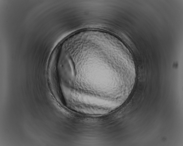 X0000091101036200708271312