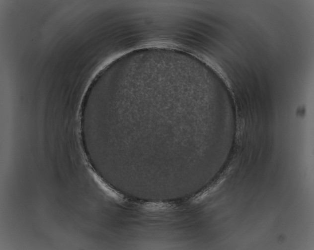 X0000091101037200708271312