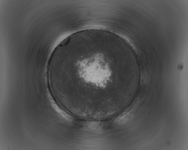 X0000091101038200708271312