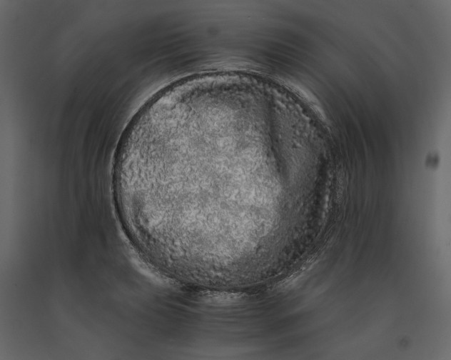 X0000091101039200708271312