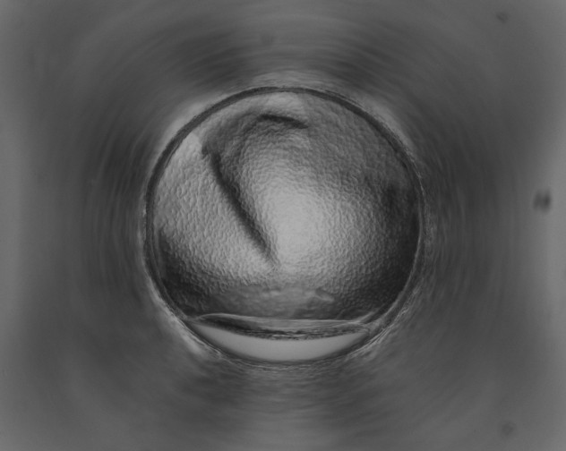 X0000091101040200708271312