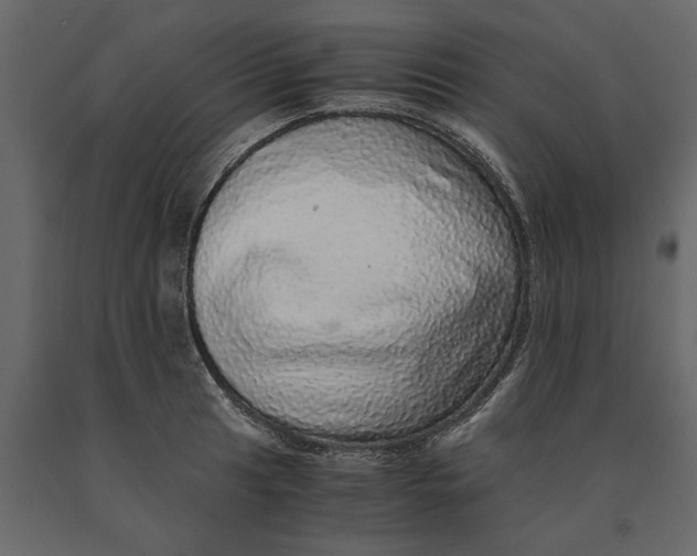 X0000091101041200708271312