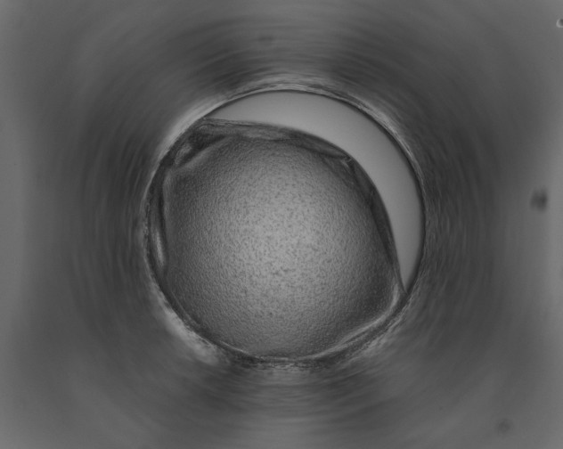 X0000091101042200708271312