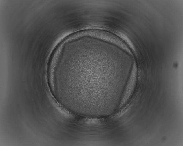 X0000091101043200708271312