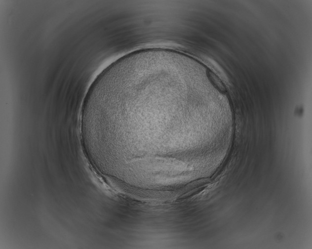 X0000091101044200708271312