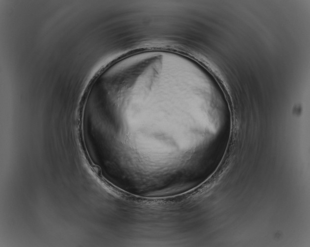 X0000091101045200708271312