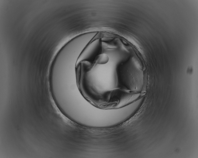 X0000091101046200708271312