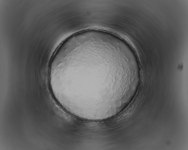 X0000091101048200708271312