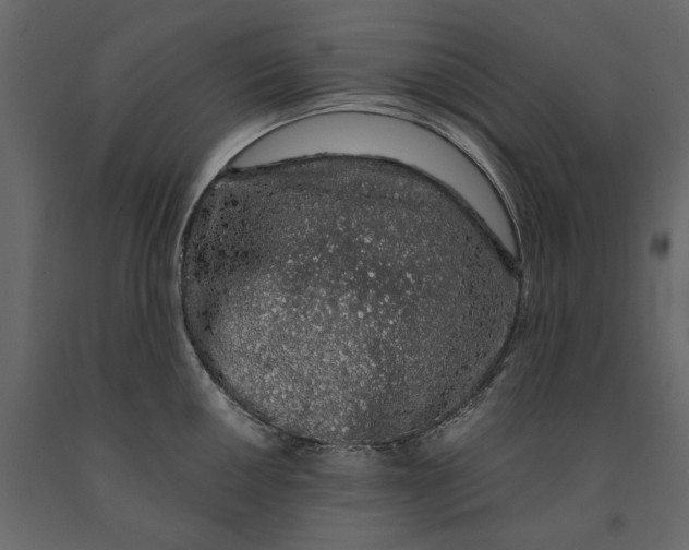 X0000091101050200708271312