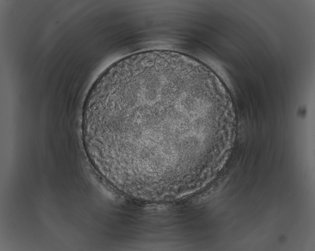 X0000091101051200708271312