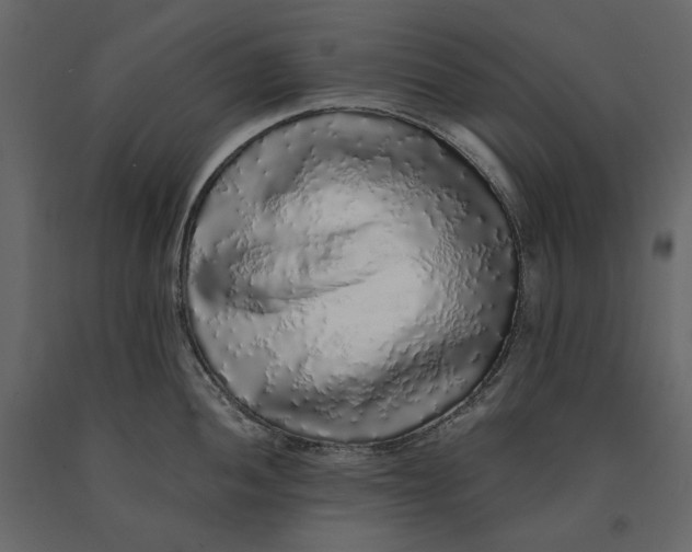 X0000091101052200708271312