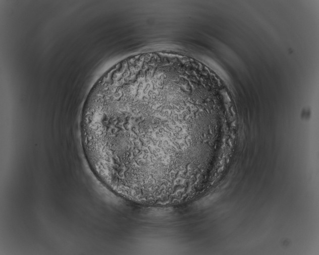 X0000091101055200708271312