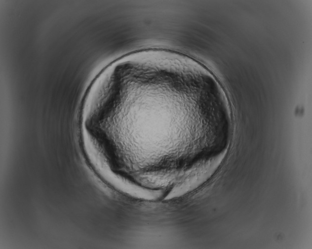 X0000091101056200708271312