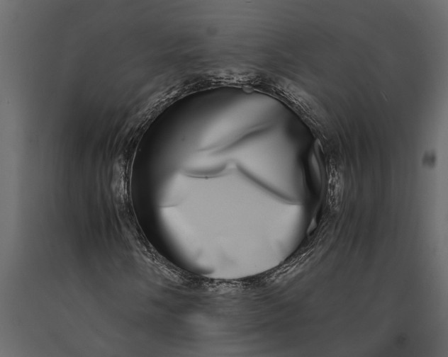 X0000091101058200708271312