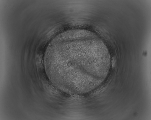 X0000091101059200708271312