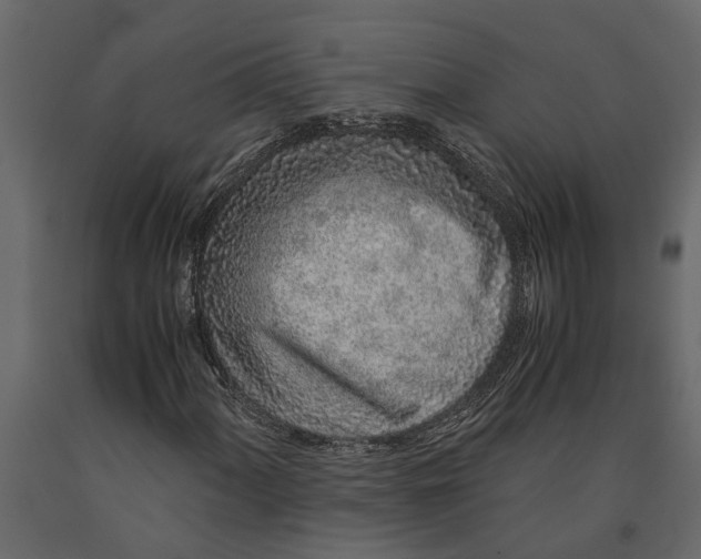 X0000091101060200708271312