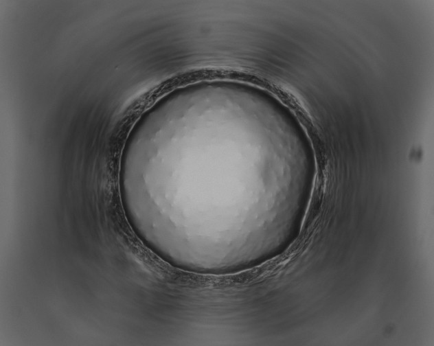 X0000091101064200708271312