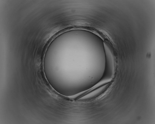 X0000091101065200708271312