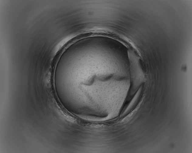 X0000091101066200708271312