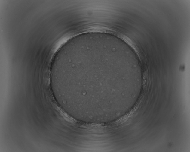 X0000091101067200708271312