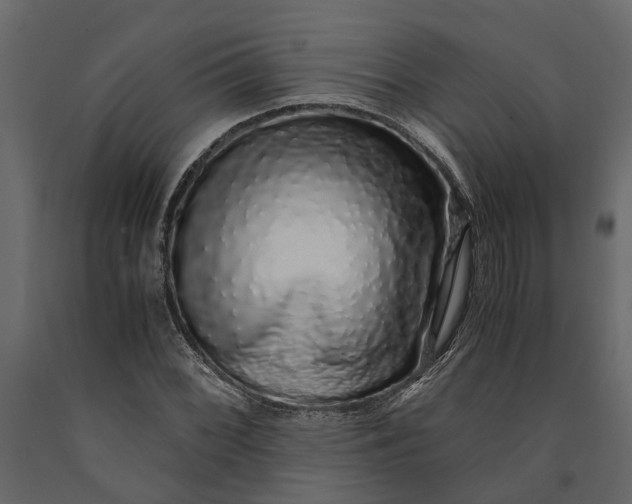 X0000091101068200708271312