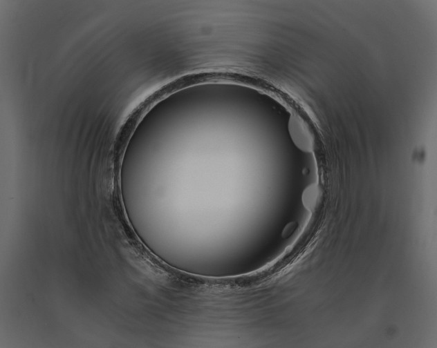 X0000091101069200708271312