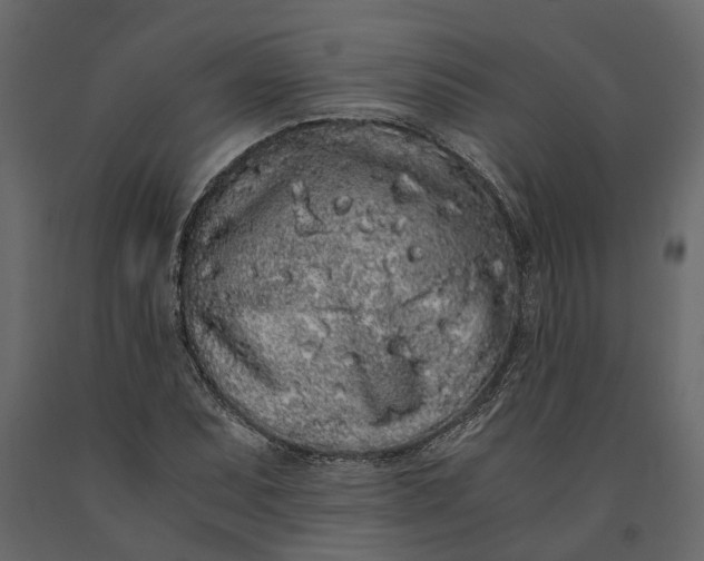 X0000091101071200708271312