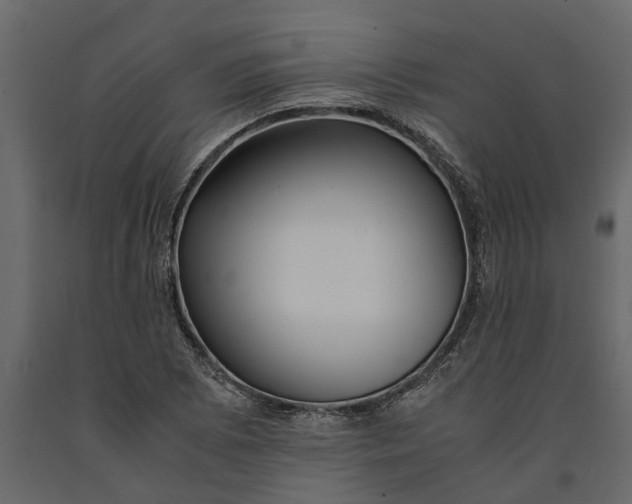 X0000091101073200708271312