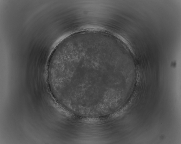 X0000091101074200708271312