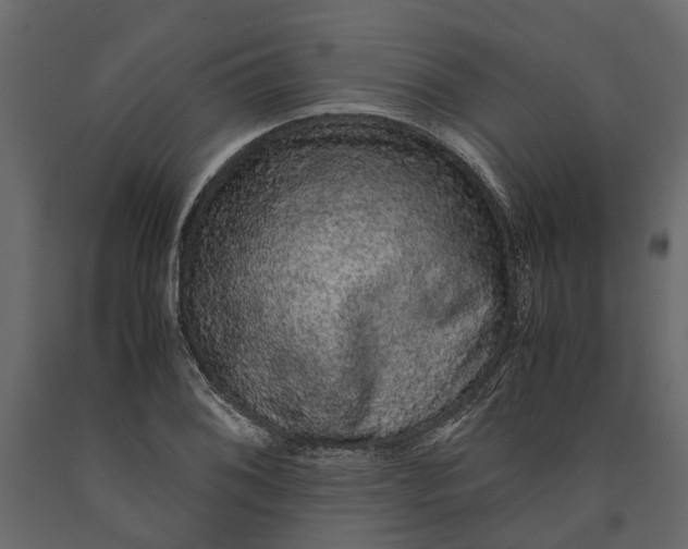 X0000091101076200708271312