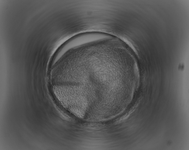 X0000091101077200708271312