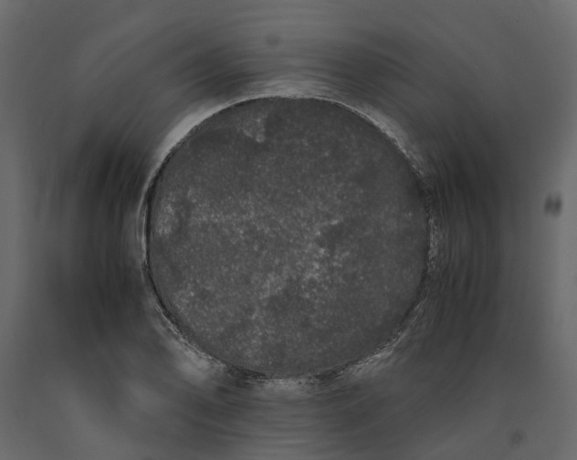 X0000091101078200708271312