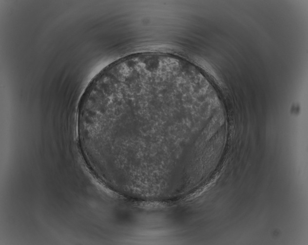 X0000091101079200708271312