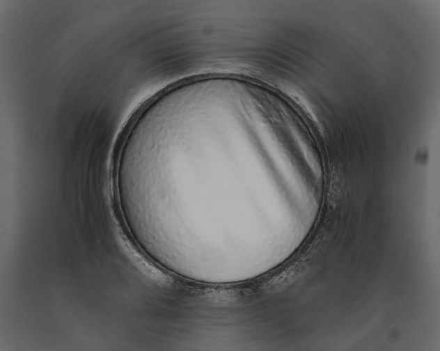 X0000091101080200708271312