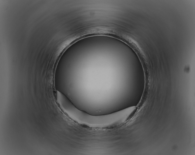 X0000091101081200708271312