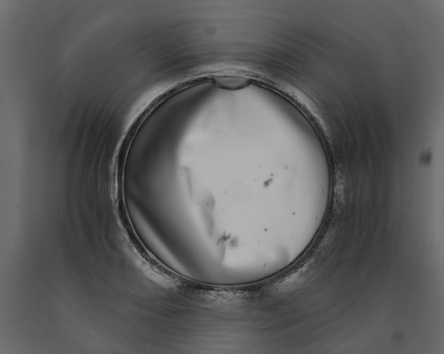 X0000091101082200708271312