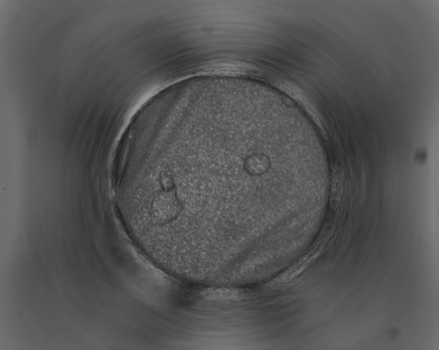 X0000091101083200708271312