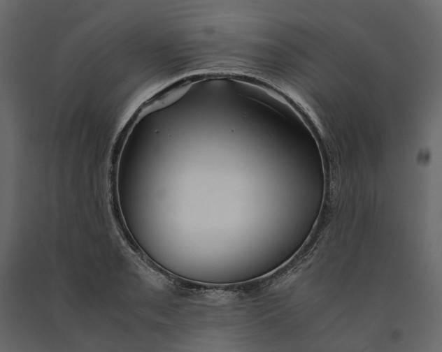 X0000091101085200708271312