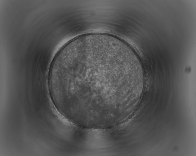 X0000091101086200708271312