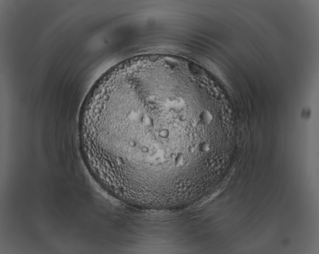 X0000091101087200708271312