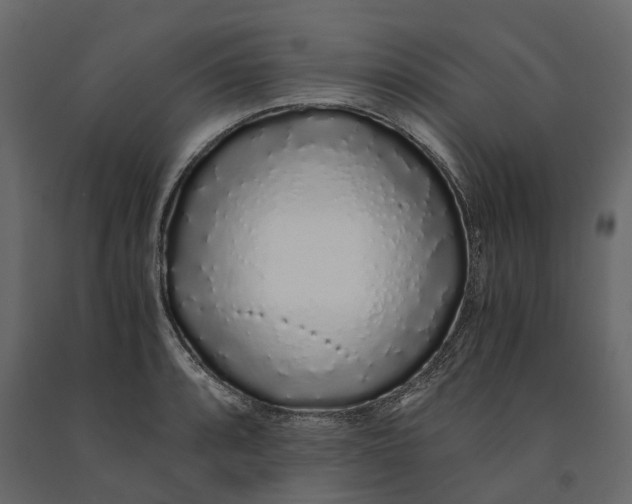 X0000091101088200708271312