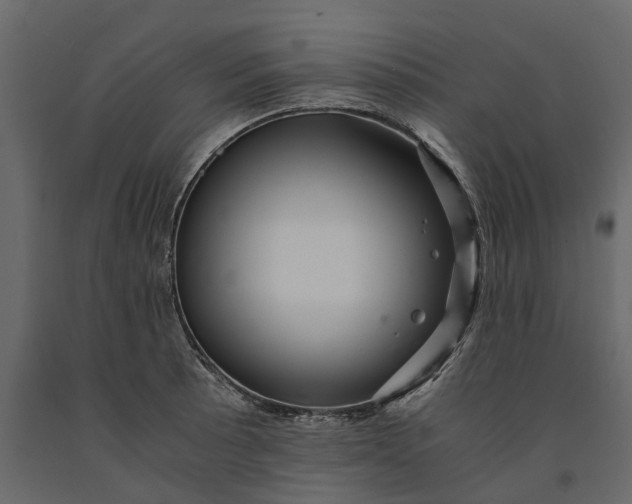 X0000091101089200708271311