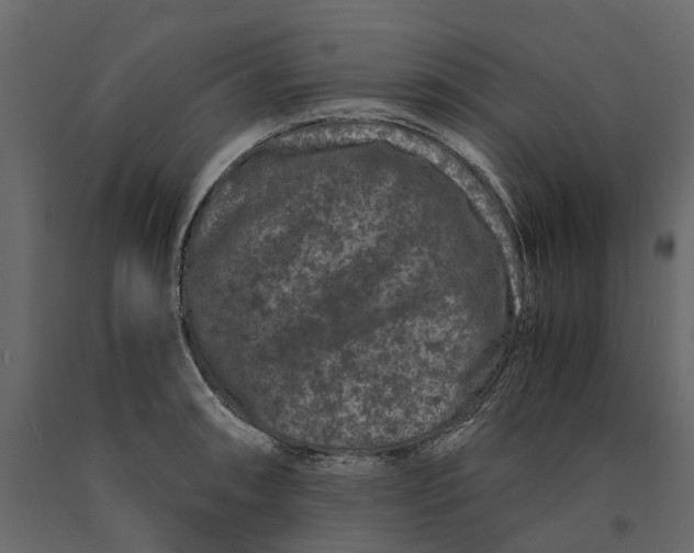 X0000091101090200708271311